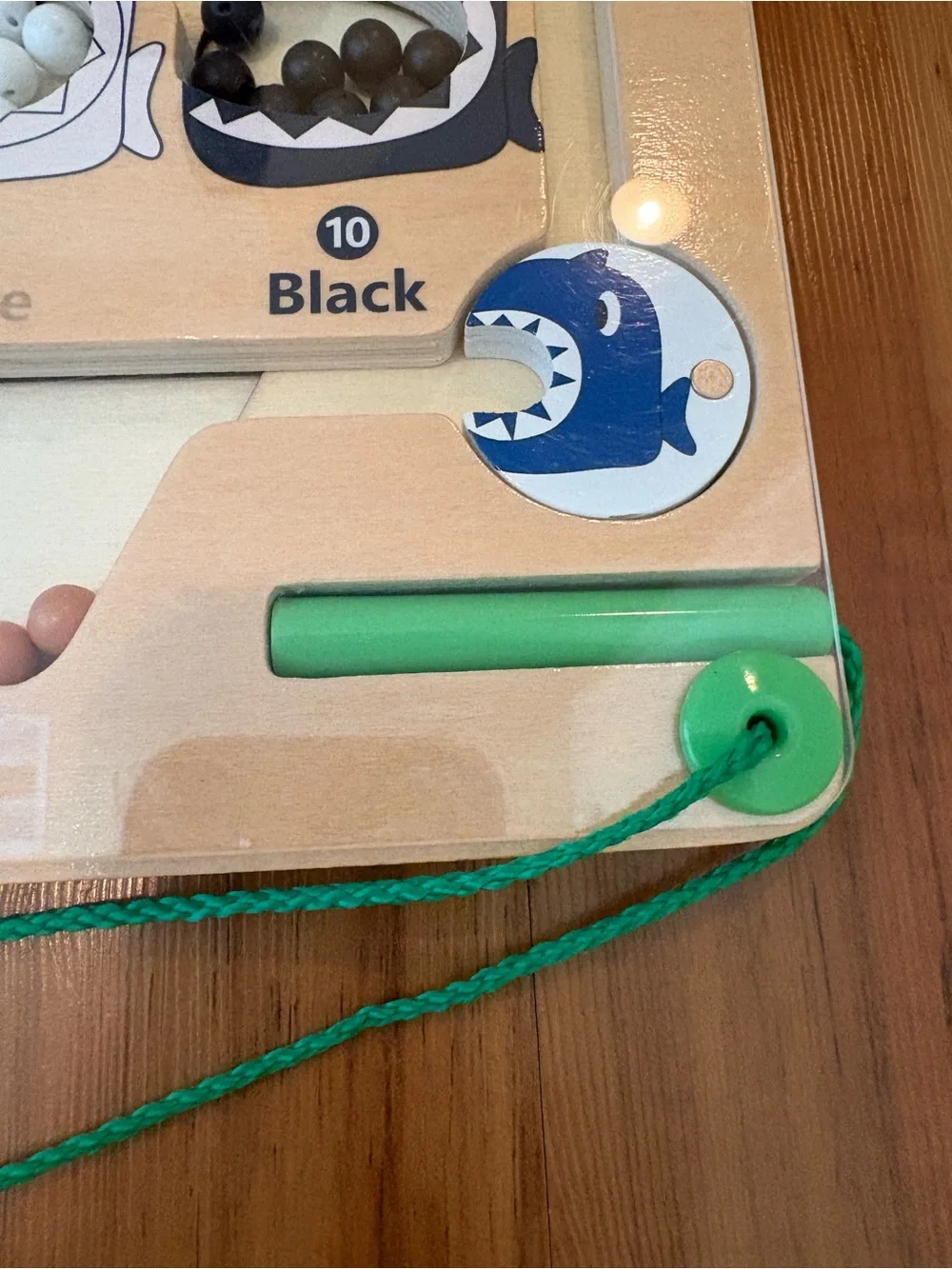 Magnetic Color and Counting Shark Maze